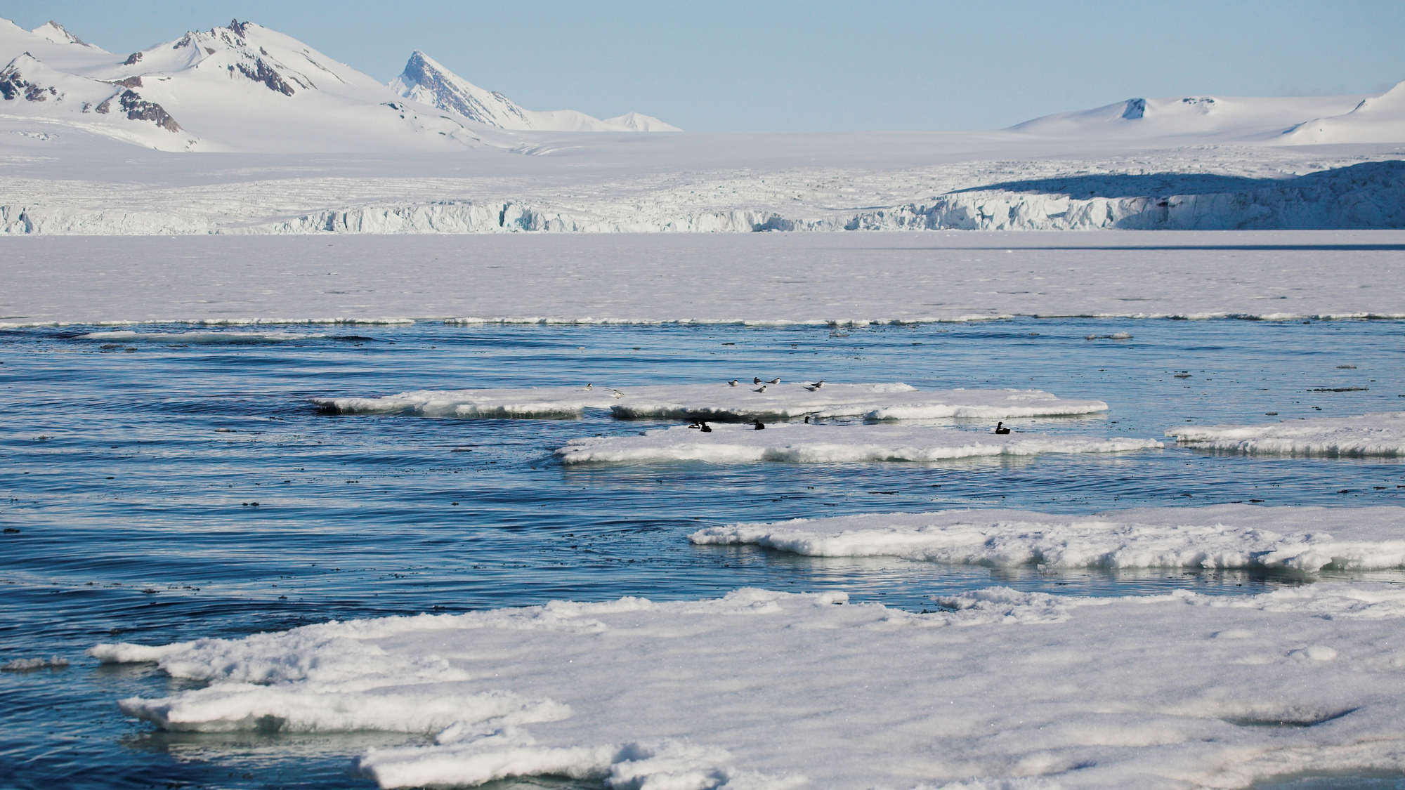 Las buenas noticias sobre los ‘virus gigantes’ encontrados en el Círculo Polar Ártico