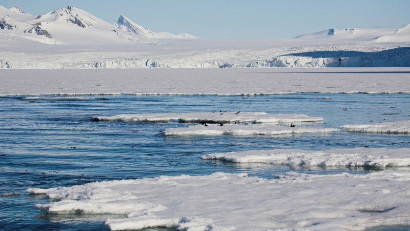 The good news about ‘giant viruses’ found in the Arctic Circle