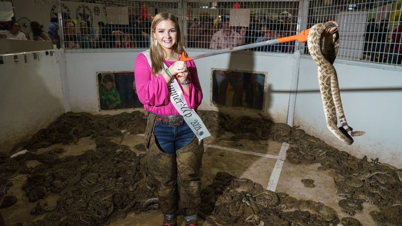 Katie Tyson, 18, first runner up for the Miss Snake Charmer pageant poses for a portrait in a snake pit during the 2021 Rattlesnake Roundup at the Nolan County Coliseum in Sweetwater, Texas on March 13, 2021. - The town of Sweetwater holds the largest rattlesnake roundup in the world, launched in 1958 with the sole purpose of getting rid of rattlesnakes, killing an average of 5,000 pounds of snake each year. (Photo by PAUL RATJE / AFP) (Photo by PAUL RATJE/AFP via Getty Images)