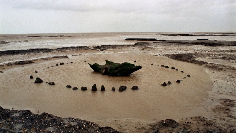 The ancient oak circle which emerged from the shifting sands at Holme next the Sea in Norfolk. The ring of oak tree trunks with a large upturned tree at its centre is believed to be 4,000 years old & is said to be of great archaeological importance.