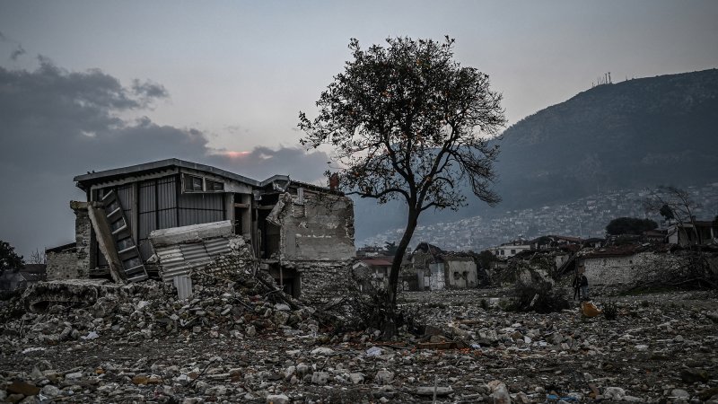 An orange tree stays next to a damaged buildings in Antakya, Hatay province, on February 5, 2024, after one year the February 2023 earthquake. The disaster, which killed more than 53,500 people in Turkey and nearly 6,000 in Syria, was the region's deadliest in many centuries. (Photo by Ozan KOSE / AFP) (Photo by OZAN KOSE/AFP via Getty Images)