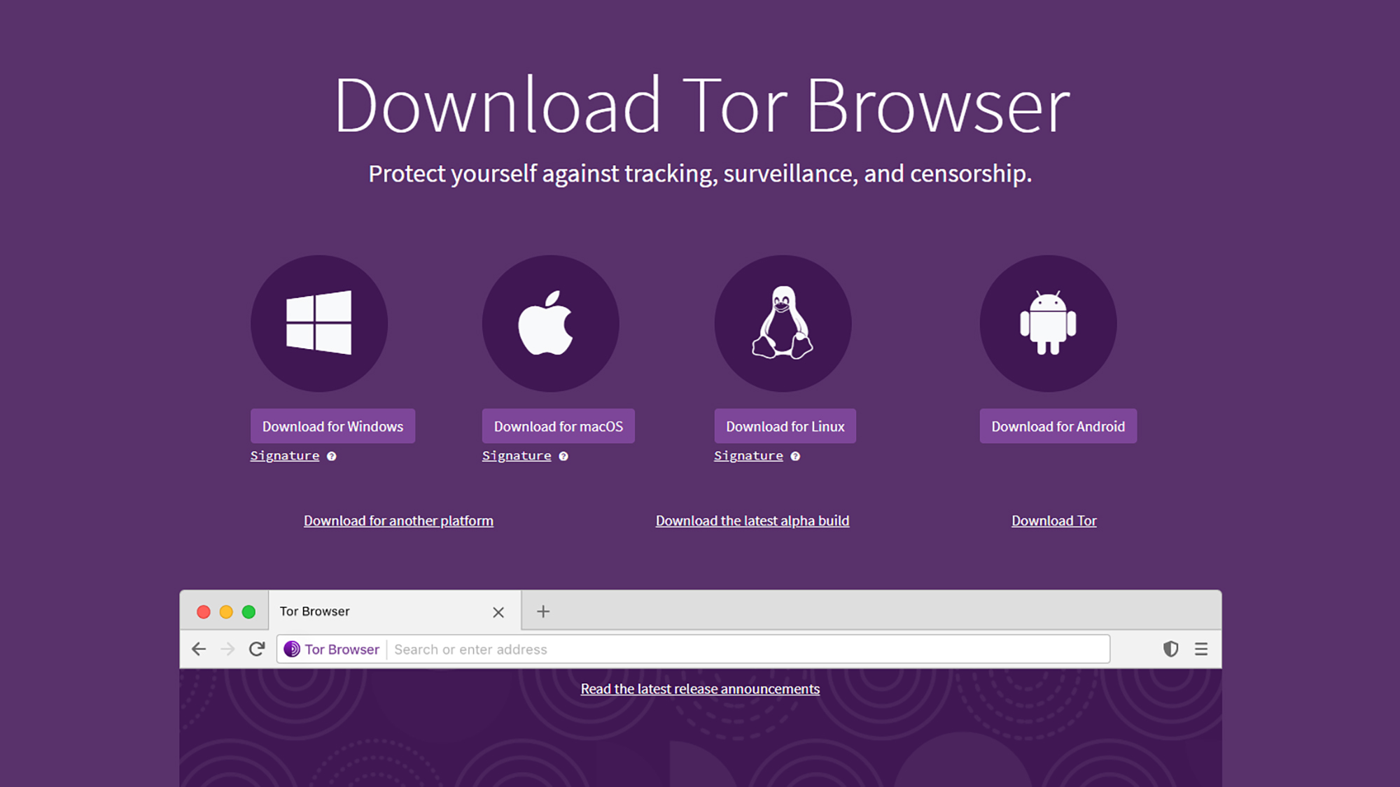 screenshot of Tor browser