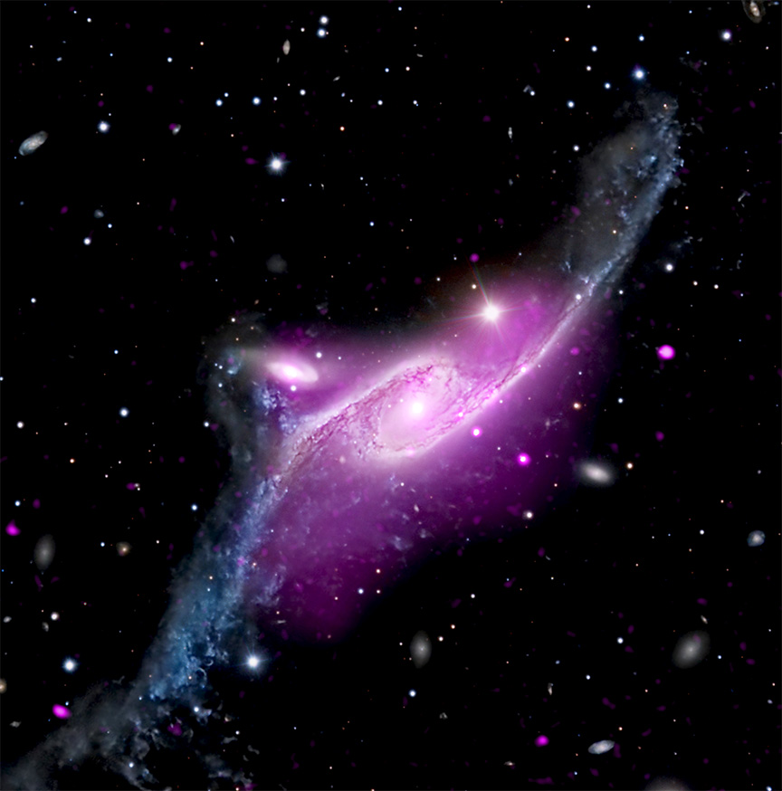 A large spiral galaxy with two elongated arms that stretch out to the upper right and lower left. Near the white dot at the galaxy's center, neon purple clouds stain the arms, with steely blue tips.