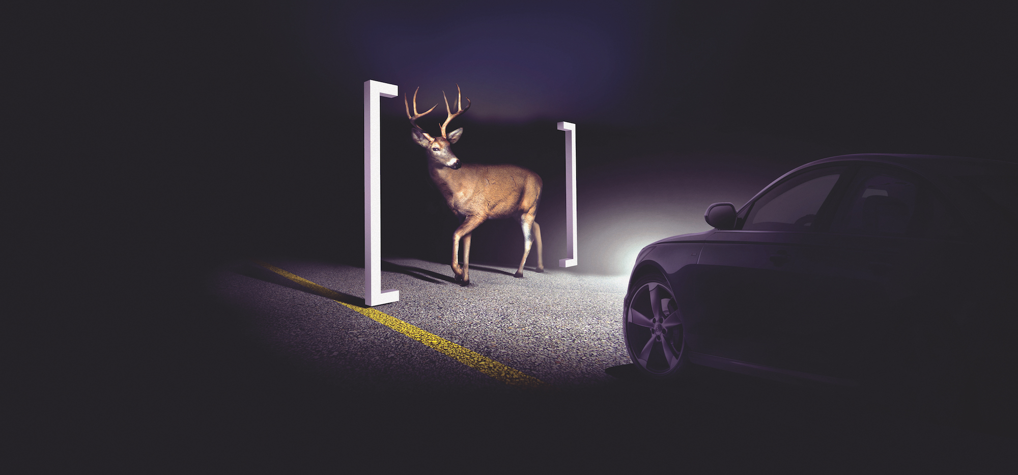 a simulation of a car seeing a deer 