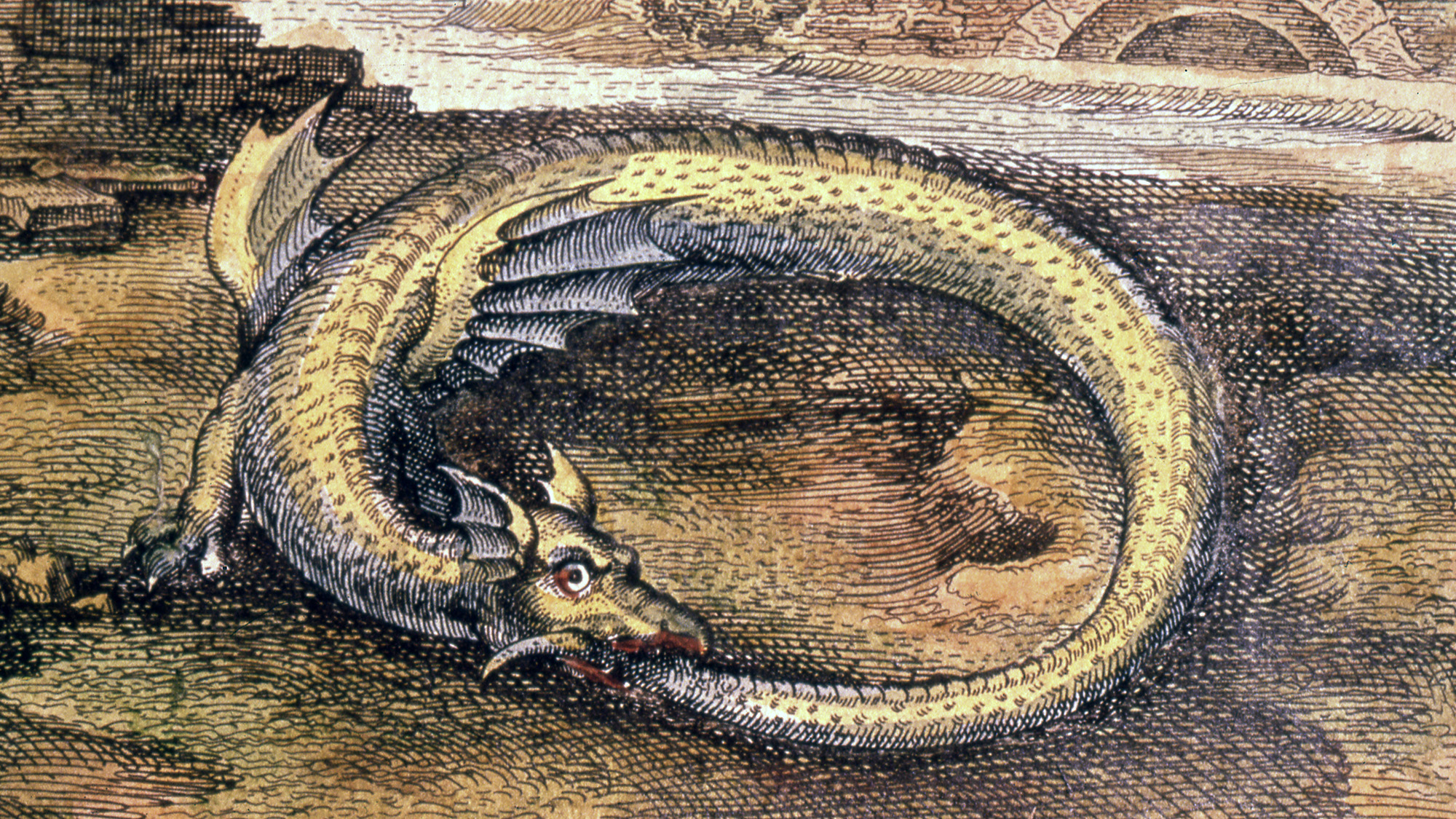 Historical artistic interpretation of an ouroboros. It is a dragon eating its own tail.