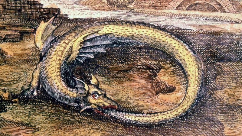 Historical artistic interpretation of an ouroboros. It is a dragon eating its own tail.