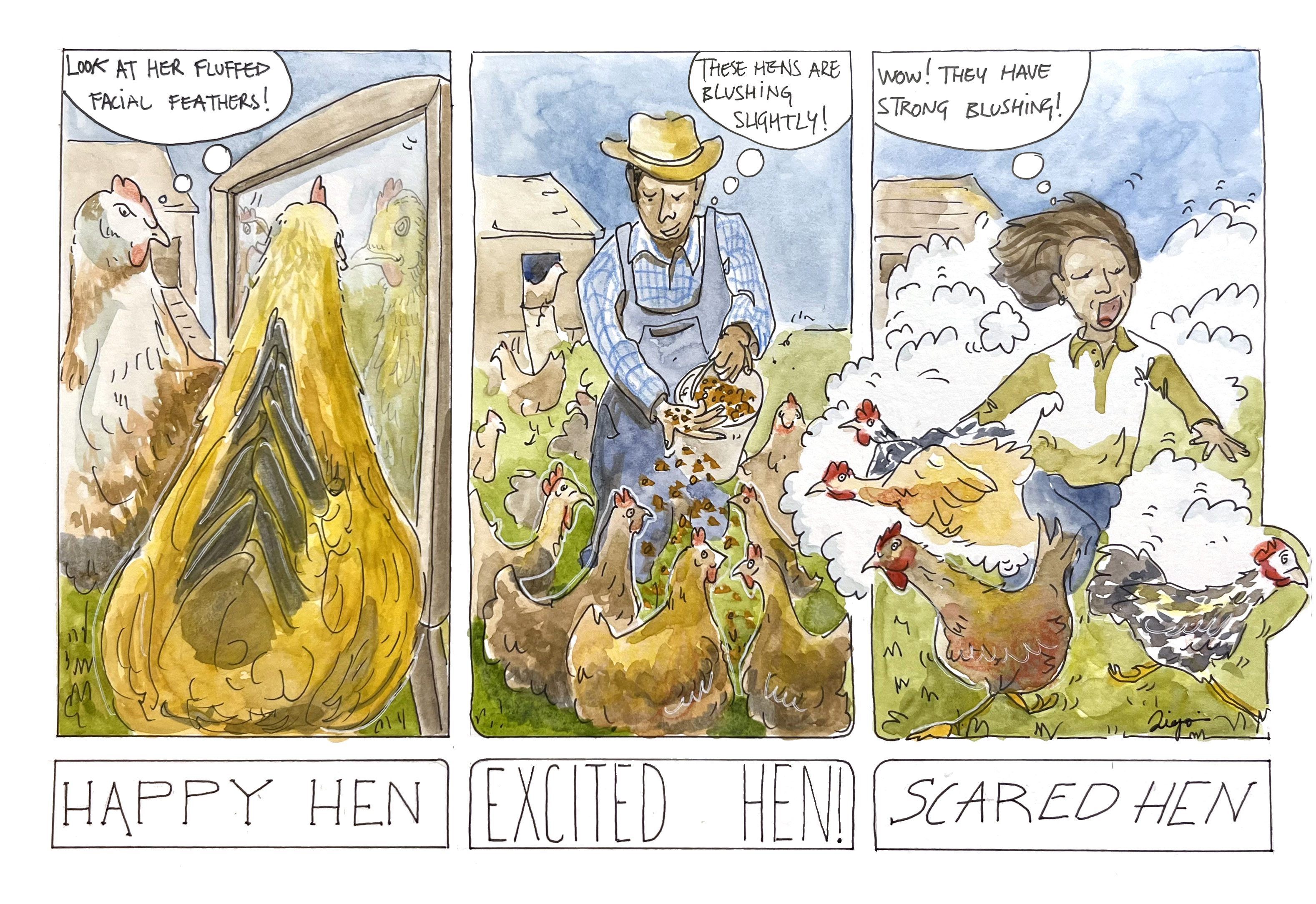 an illustration of a happy hen, excited hen, and a scared hen 