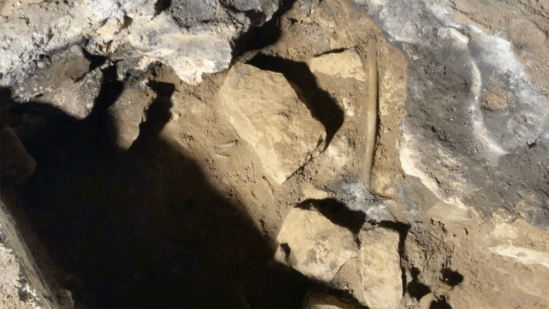 Ritual sticks uncovered in Cloggs Cave date back 10,000 to 12,000 years.