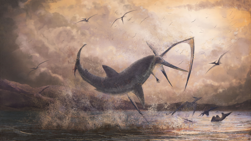 an illustration of a large shark jumping out of the water and eating a winged dinosaur