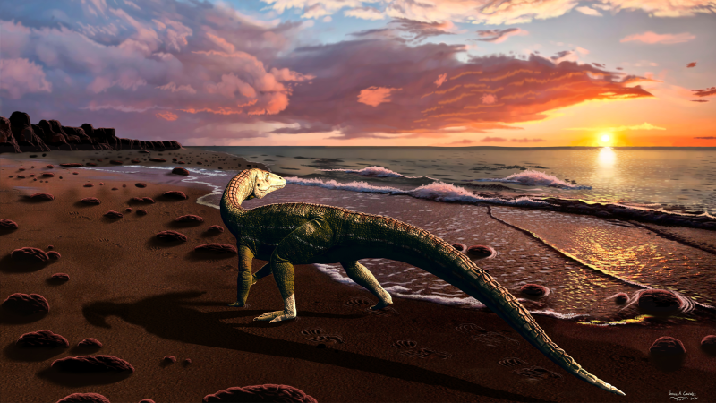 An illustration of newly discovered crocodile relative named Benggwigwishingasuchus eremicarminis on the coast of an ancient ocean called Panthalassa.