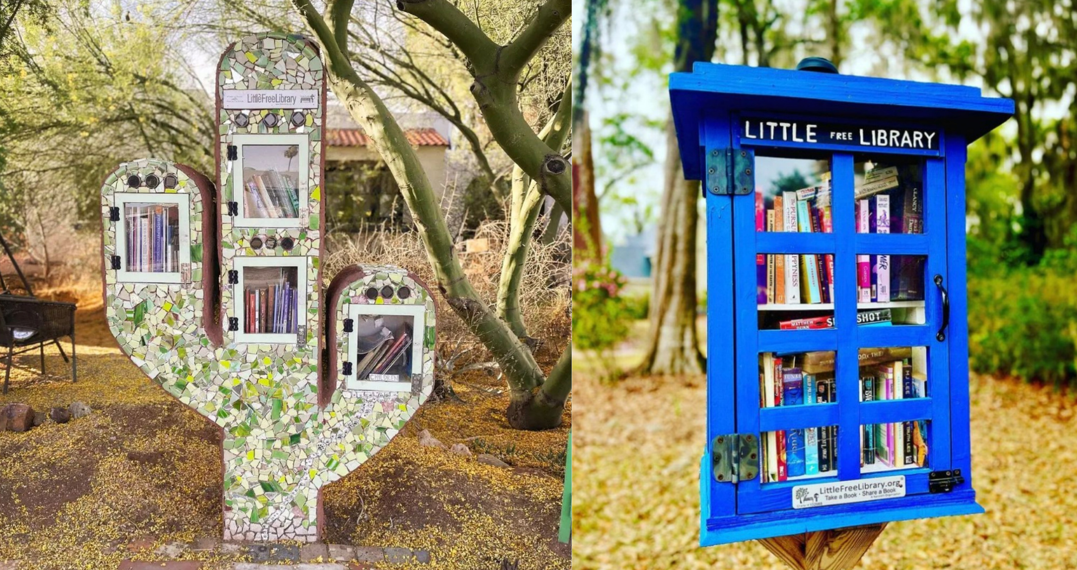 two photos of little libraries. one is shaped like a cactus, the other is a simple blue box with glass windows