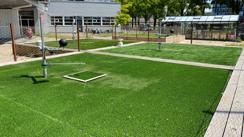 Picture of the field site in Amsterdam with the four research plots.