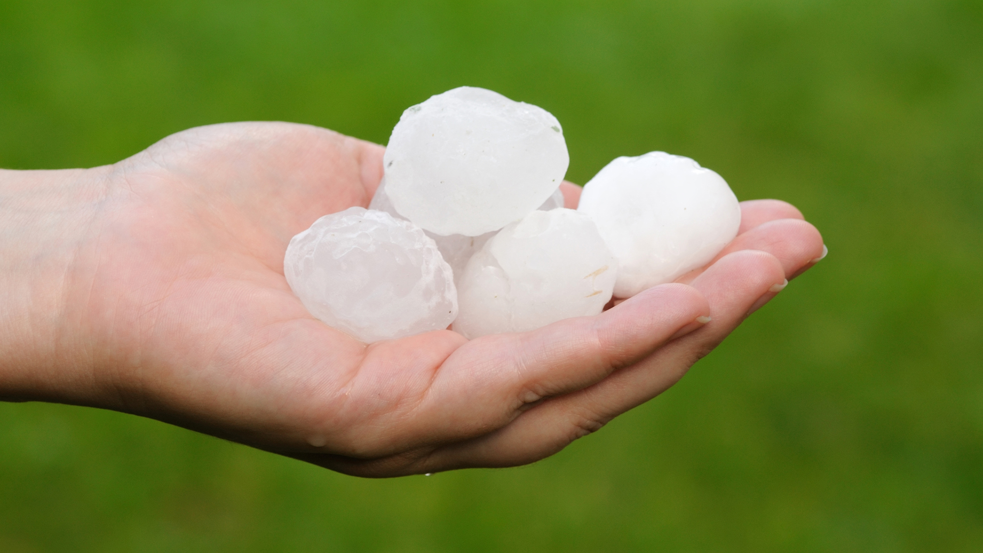 Large hailstones