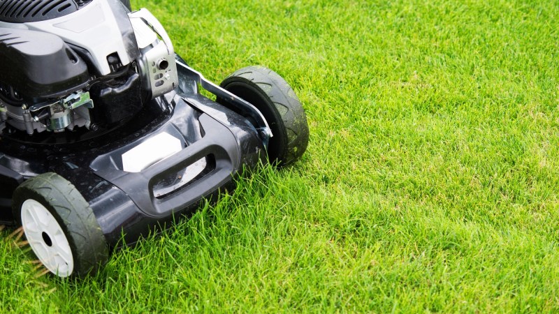 a lawnmower cuts grass