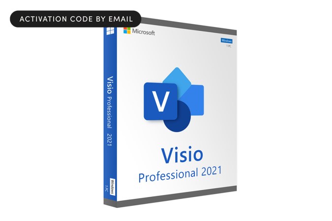 A Microsoft Visio Pro 2021 package on a plain background.