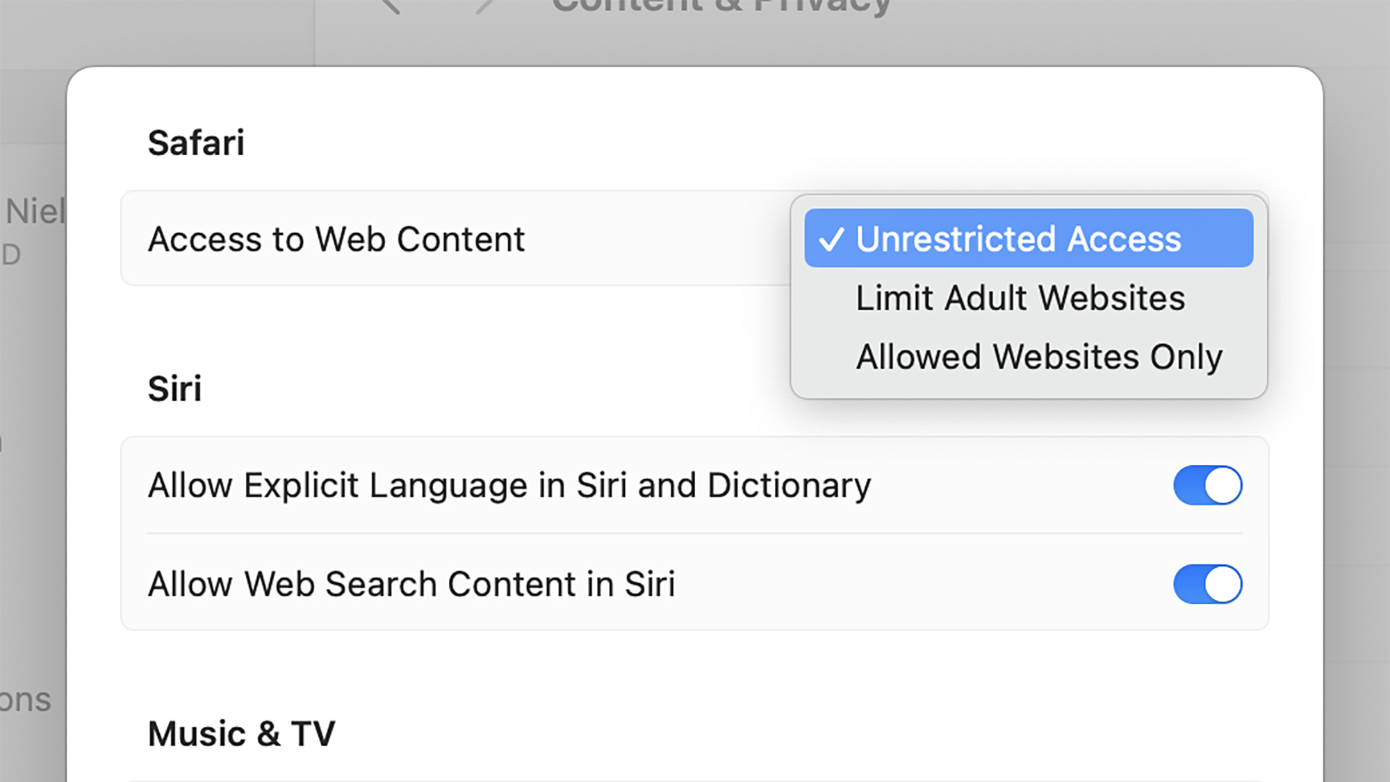 screenshot of safari's access to web content settings 