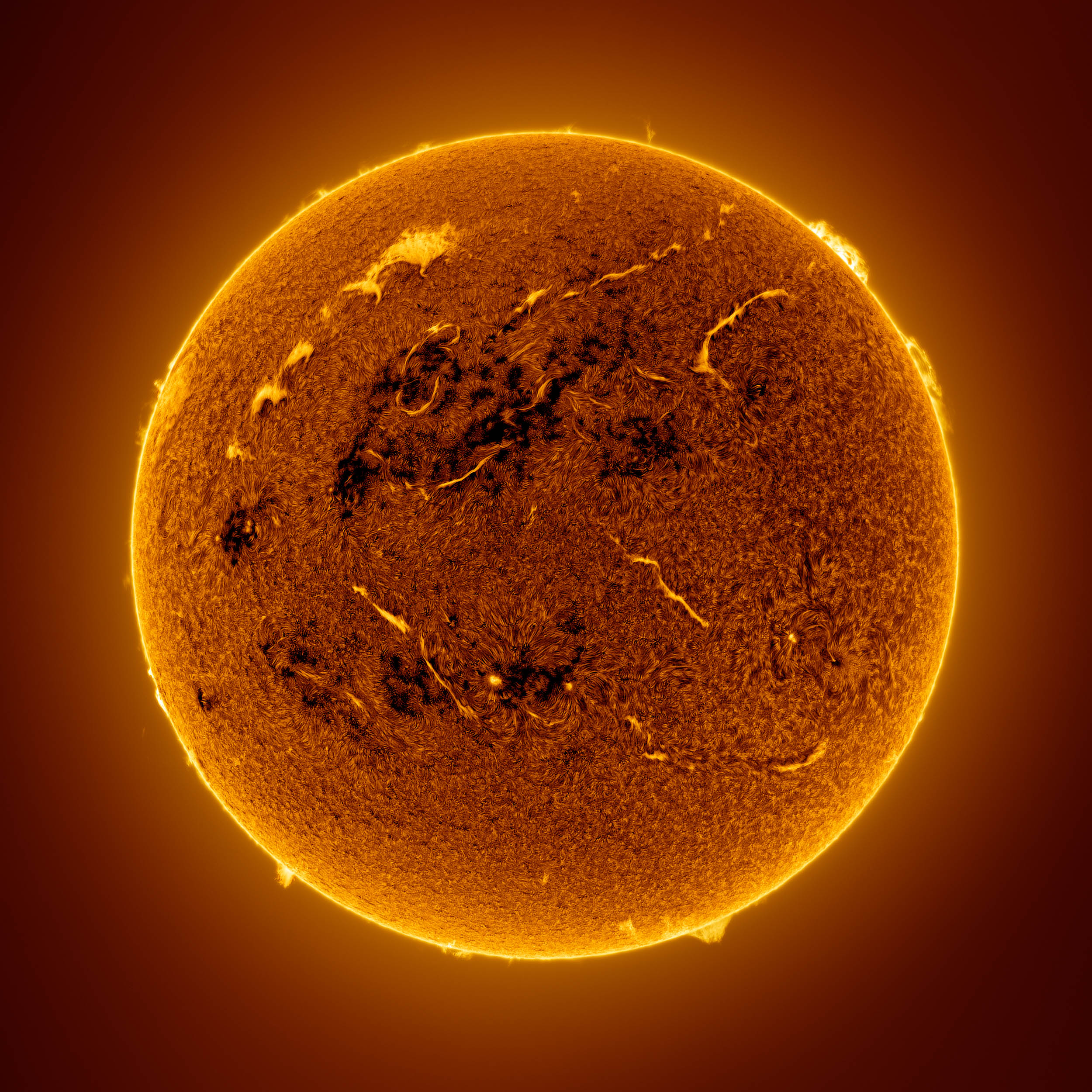 swirls on the sun's surface, including a piece of plasma in the shape of an upside-down whale