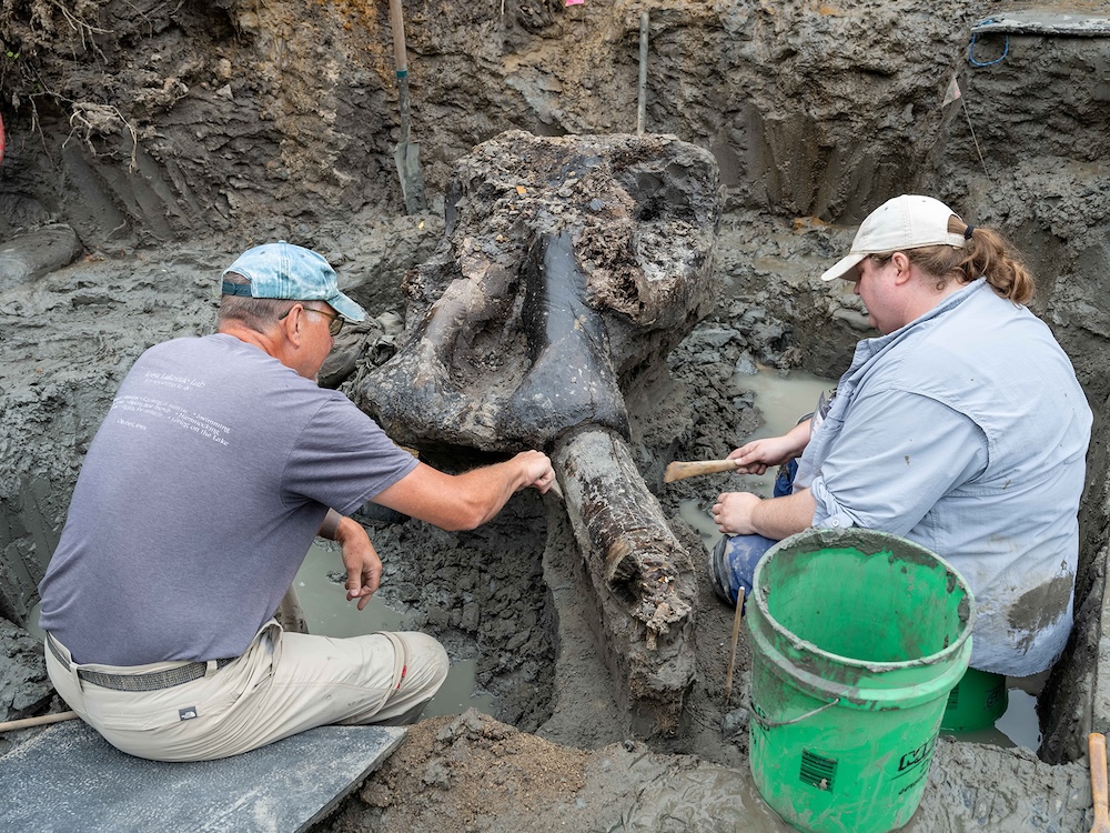 Twee archeologen graven een mastodontschedel uit Iowa op