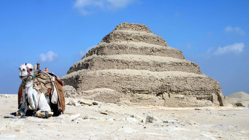 Pyramid of Djoser with camel