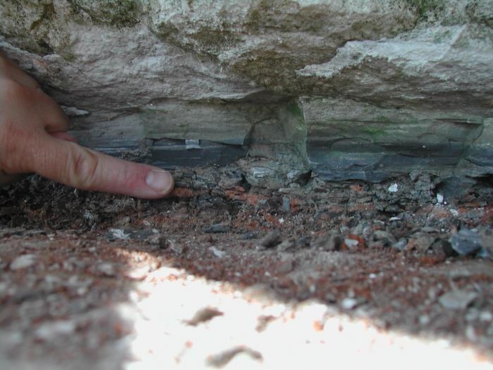 Photograph of the 66-million-year-old Cretaceous-Paleogene (K-Pg) boundary layer at Stevns Klint in Denmark. This boundary layer contains the globally distributed fallout produced by the asteroid impact at Chicxulub (Mexico).