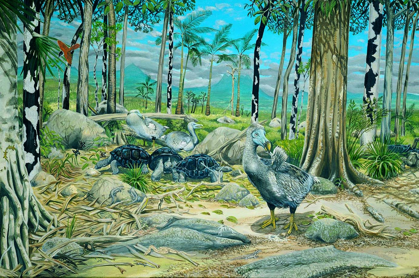 Illustration of dodo in natural habitat 