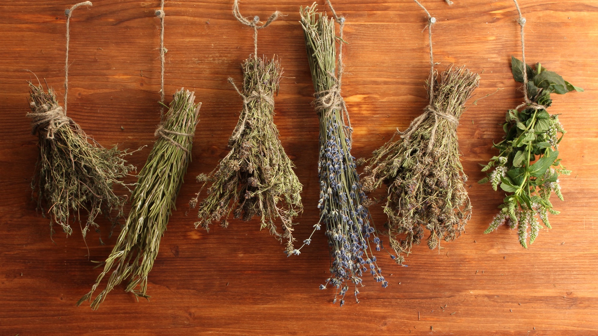 how to dry herbs