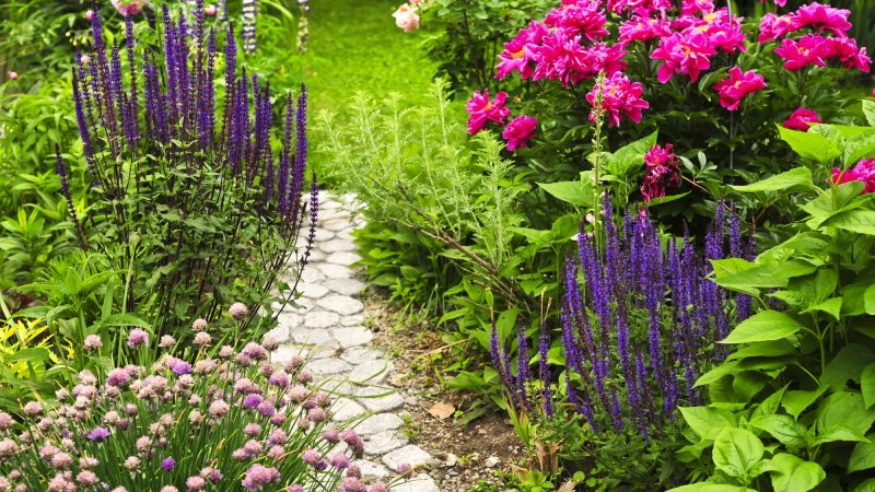 a flower garden with a brick pathway running through the middle