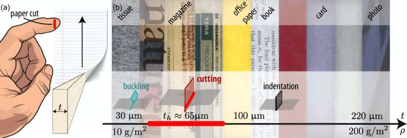 Diagram of papers most likely to cut skin