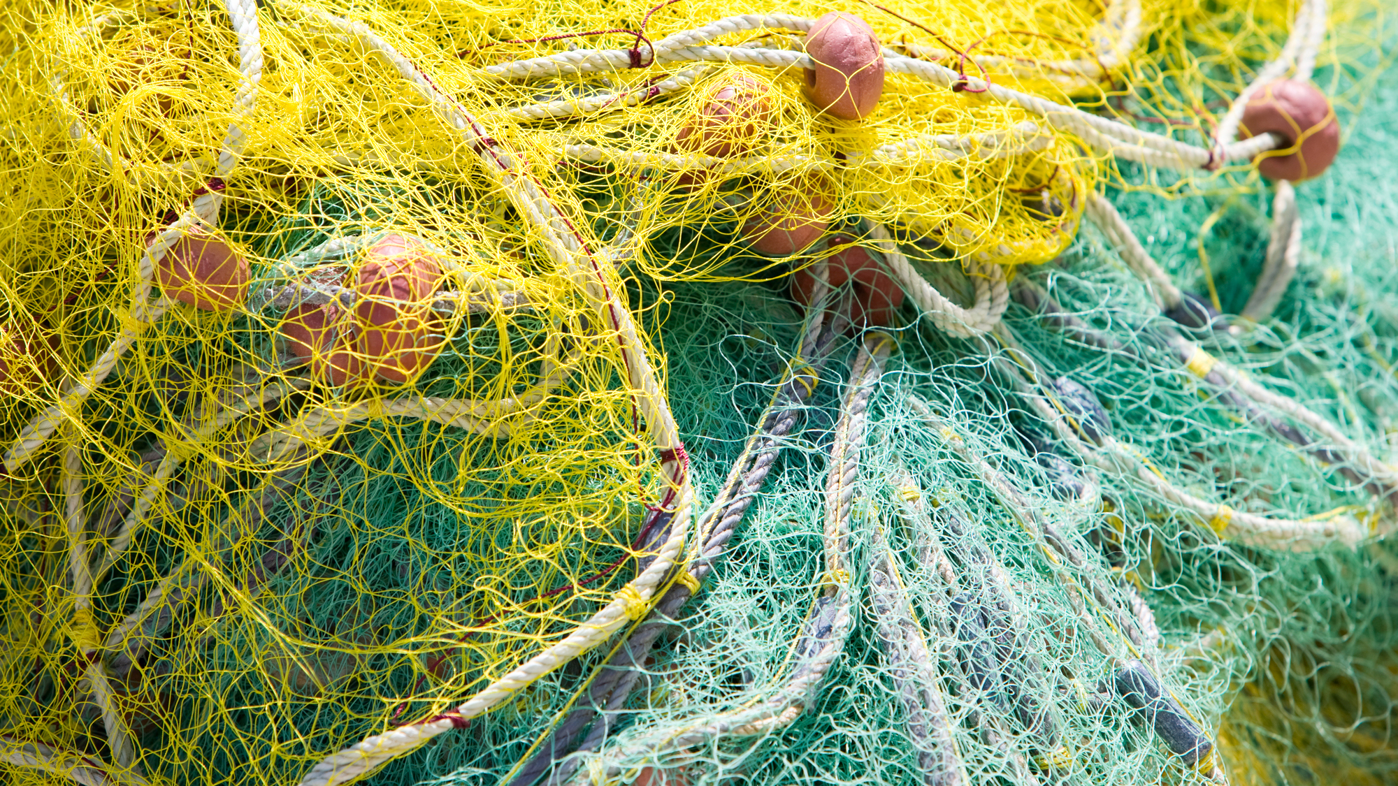 Closeup of yellow and green fishing net