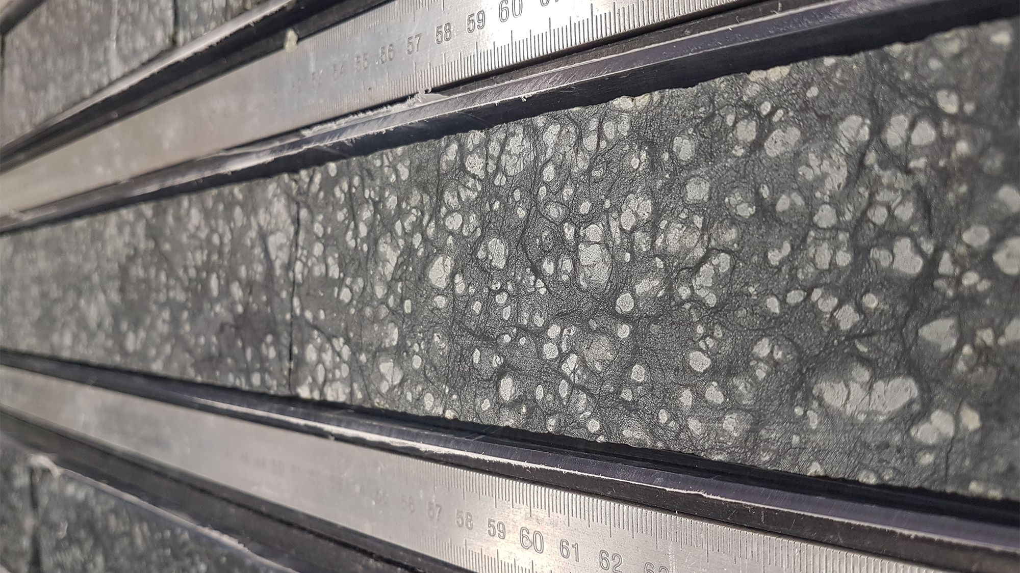 a long grey sediment core taken from the earth's mantle