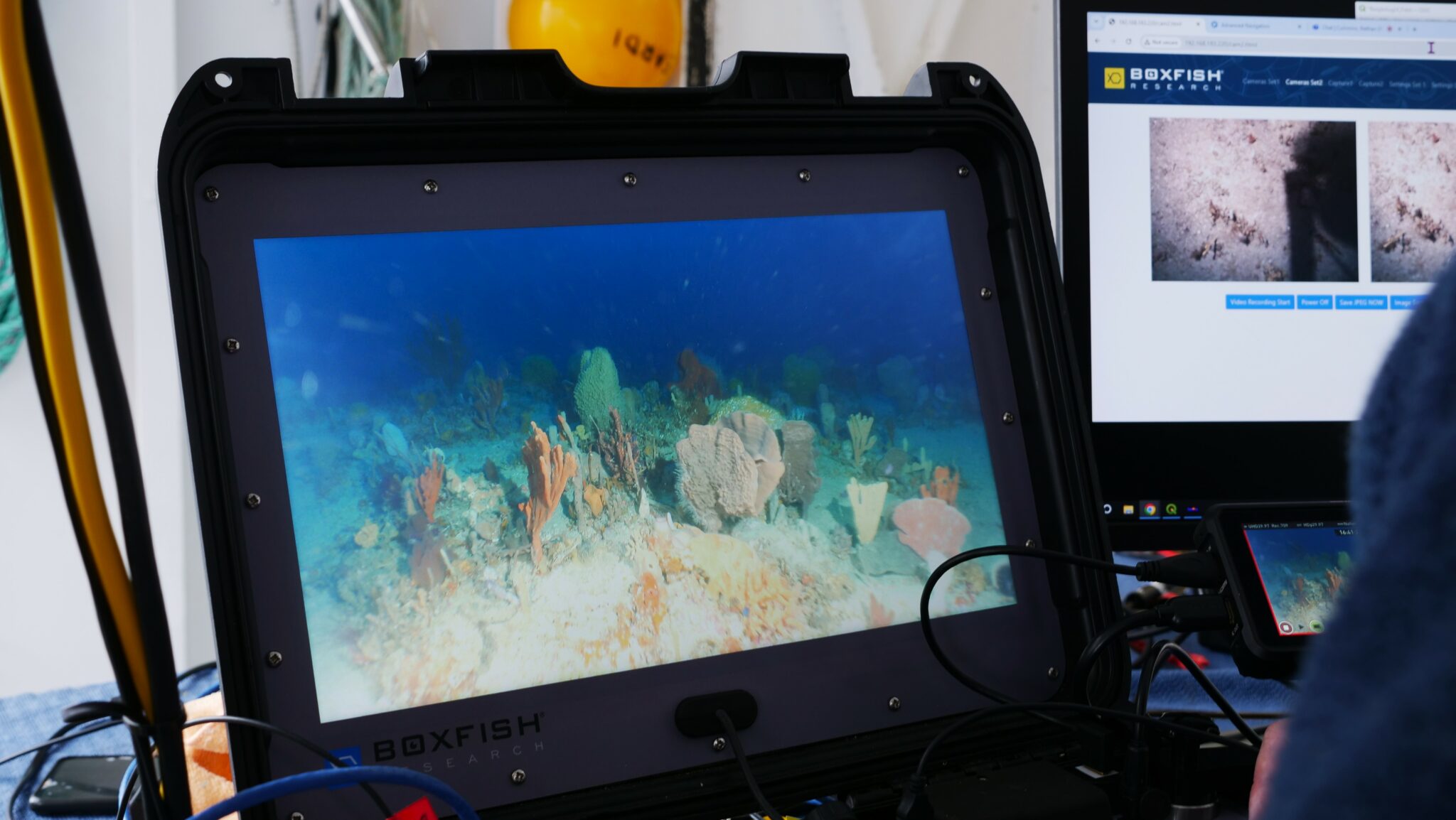 a video monitor on a research vessel shows a colorful sponge garden below the sea