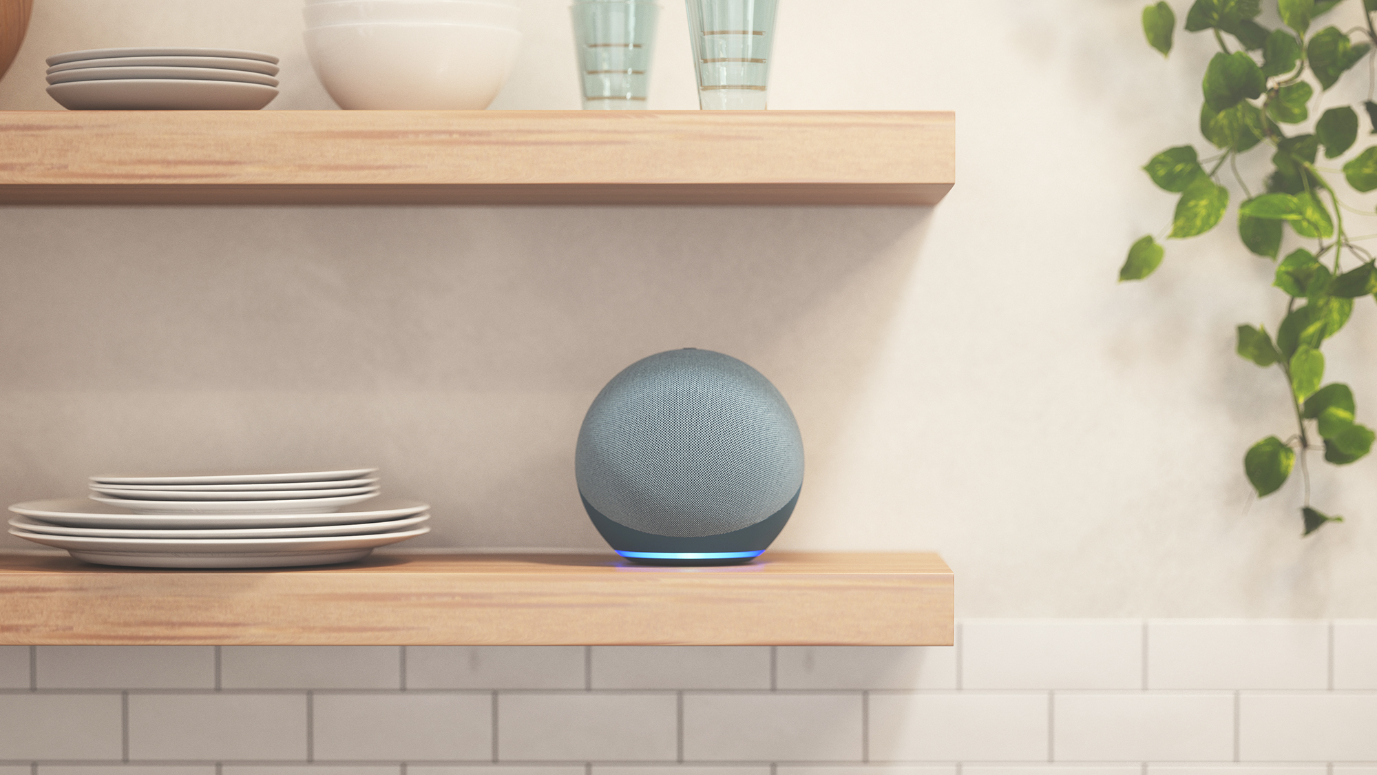 Amazon Alexa device on the kitchen shelf next to the plates