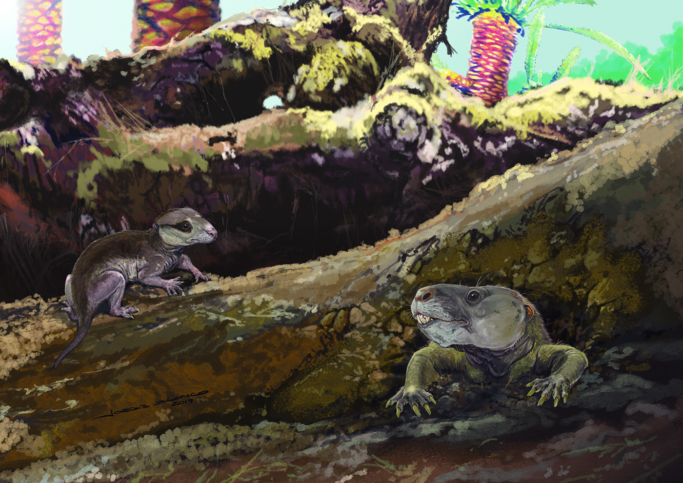 an illustration of two early rodent-like mammals in a burrow