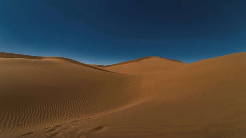 A panoramic sand dune of sahara desert at Mhamid el Ghizlane in Morocco wide shot.