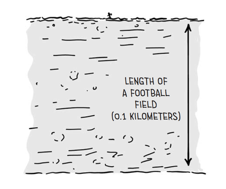 "de lengte van een voetbalveld" illustratie