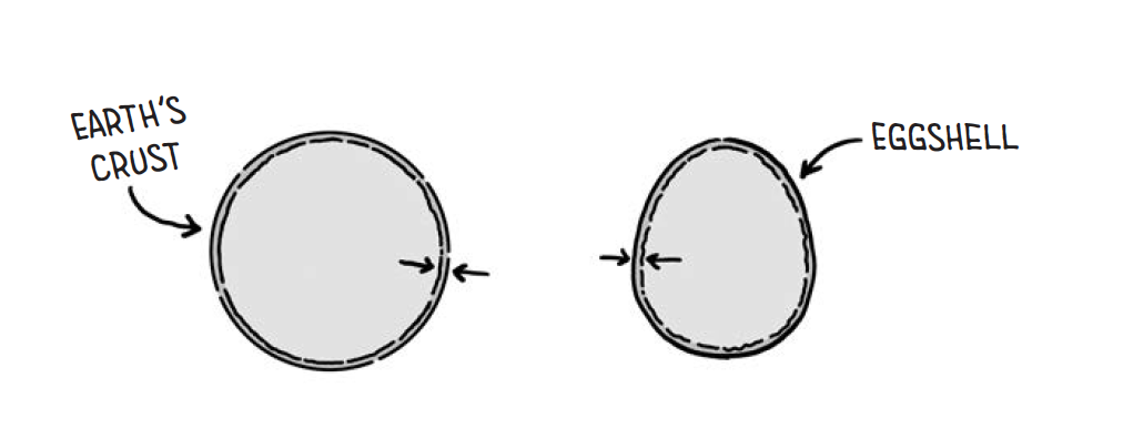 two shapes, one labeld "earth's crust" and "eggshell"