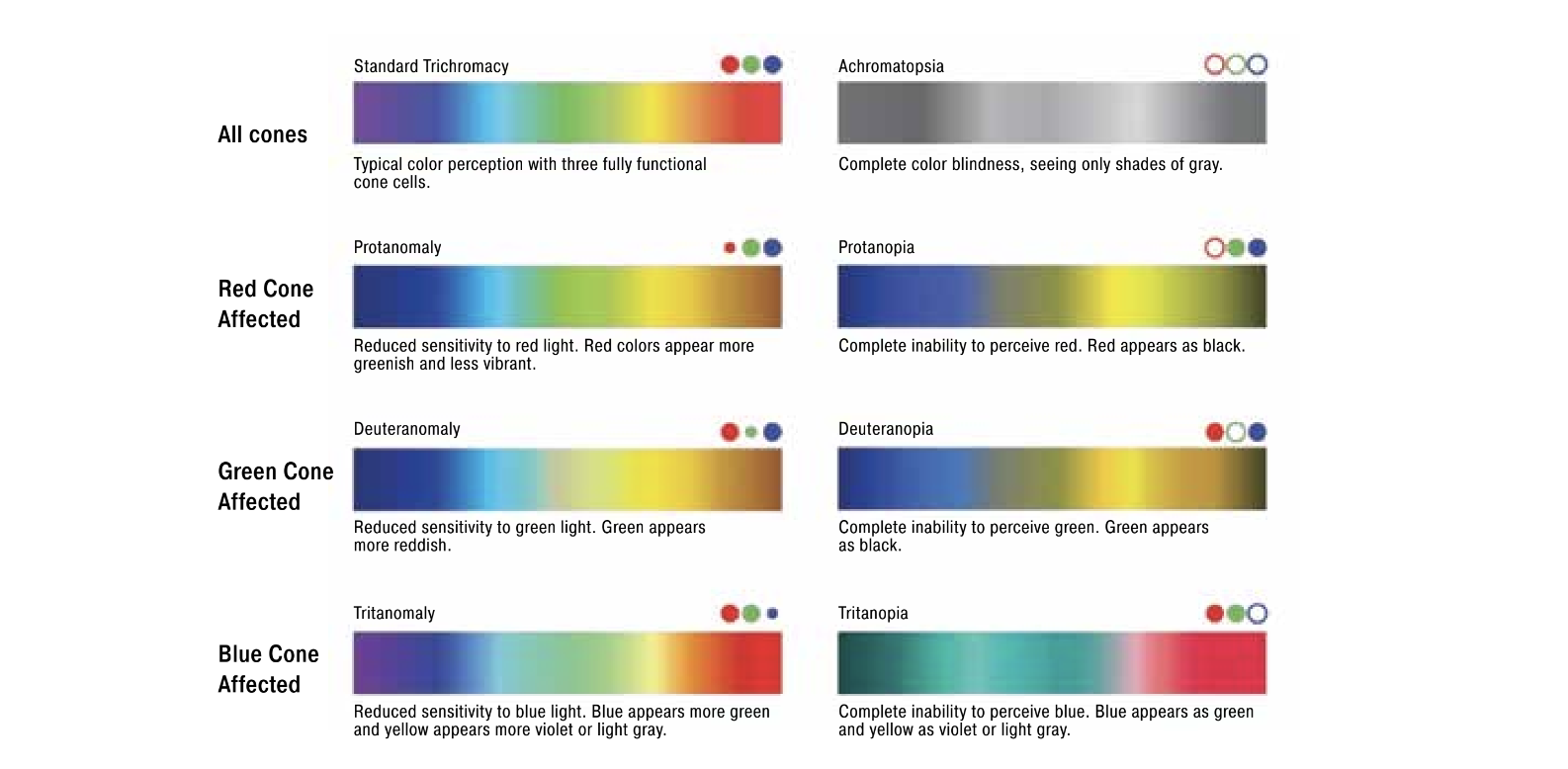 chart showing different ways people see