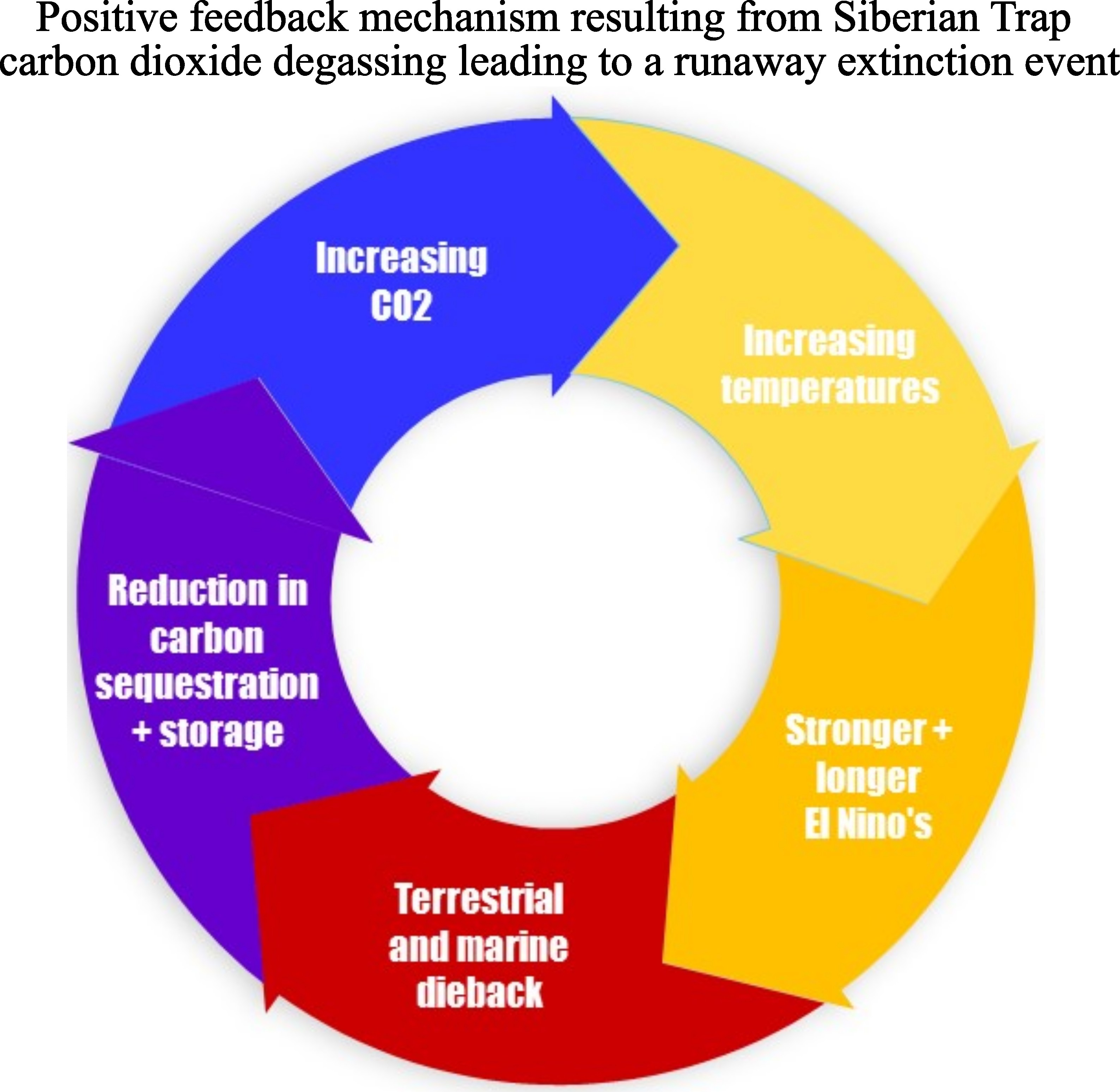 Science and Nature news a circular graph with arrows showing how increased carbon dioxide leads to increasing temperatures which leads to stronger and longer el niños, which leads to dying on land and in sea, which leads to reduced carbon sequestration and storage