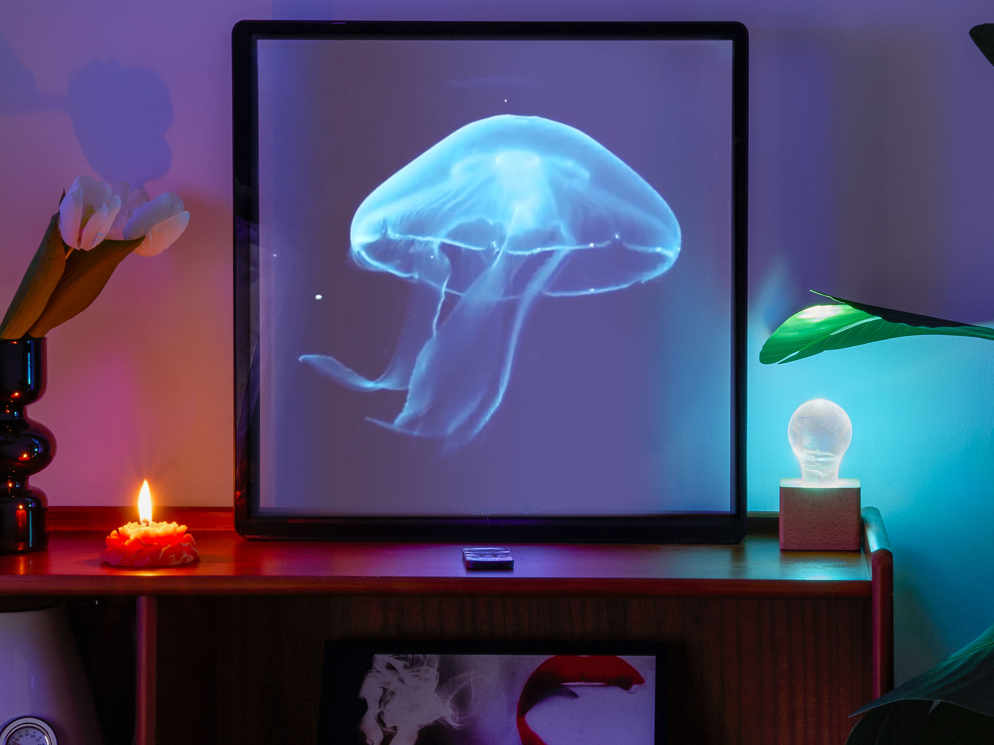 A jellyfish hologram displayed on a projector