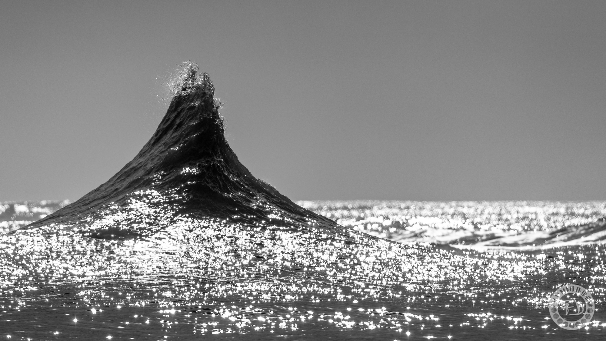 a wave rising up from a flat sea