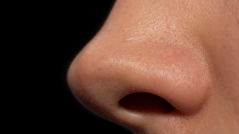 Nose closeup