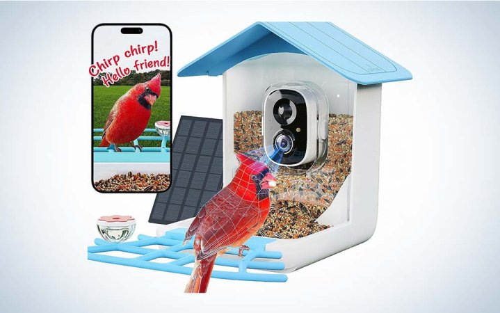  PerchMe Bird Feeder Camera with a red bird eating at it