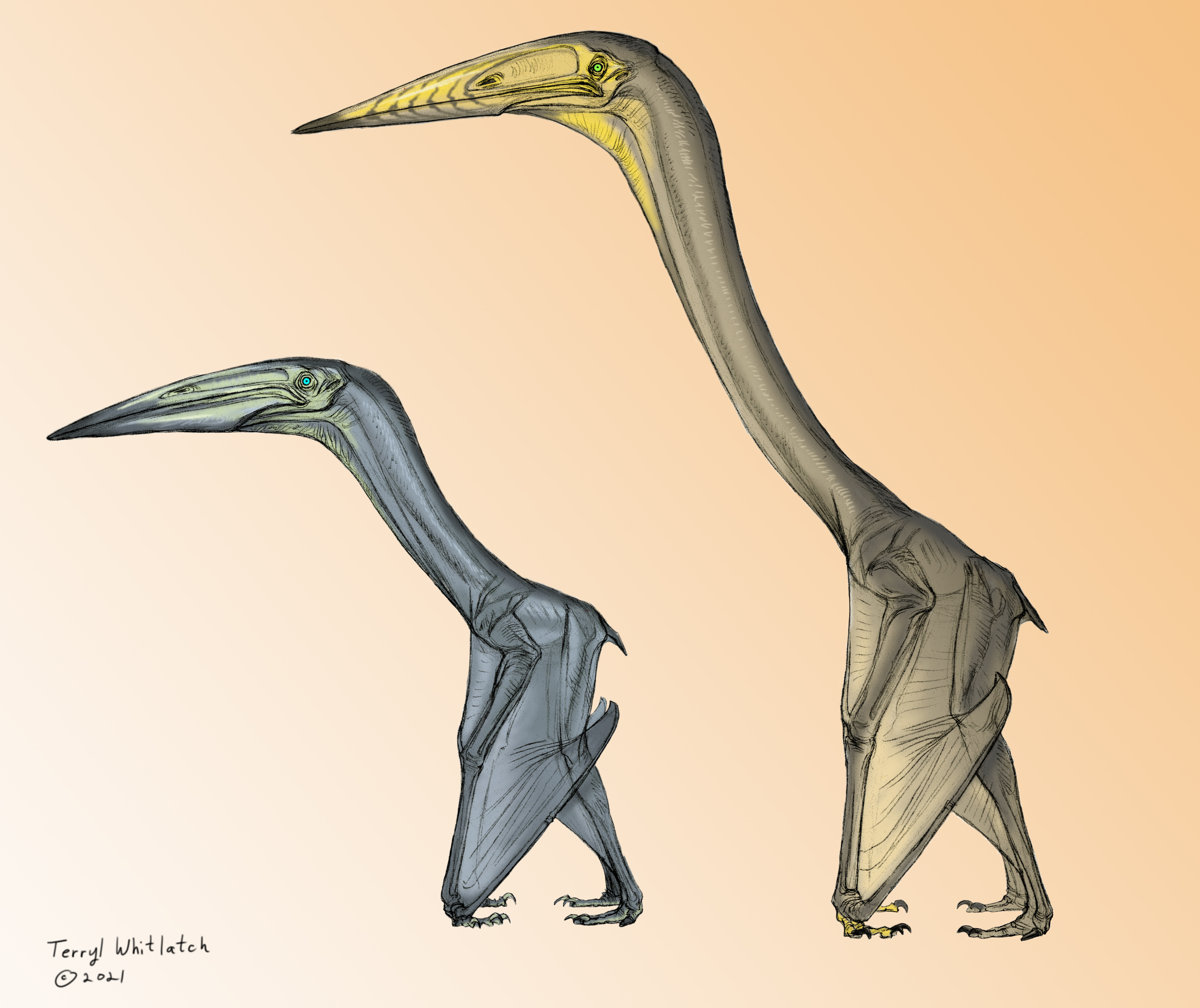 a smaller and gray ptsersaur species Inabtanin alarabia standing next to a larger brown species called Arambourgiania philadelphiae. 
