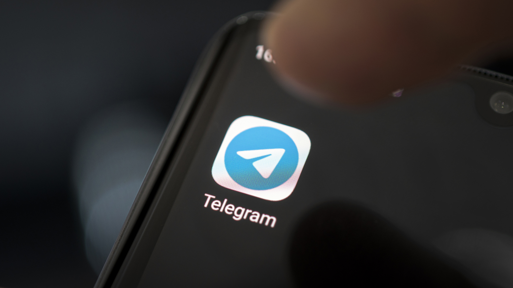 telegram logo