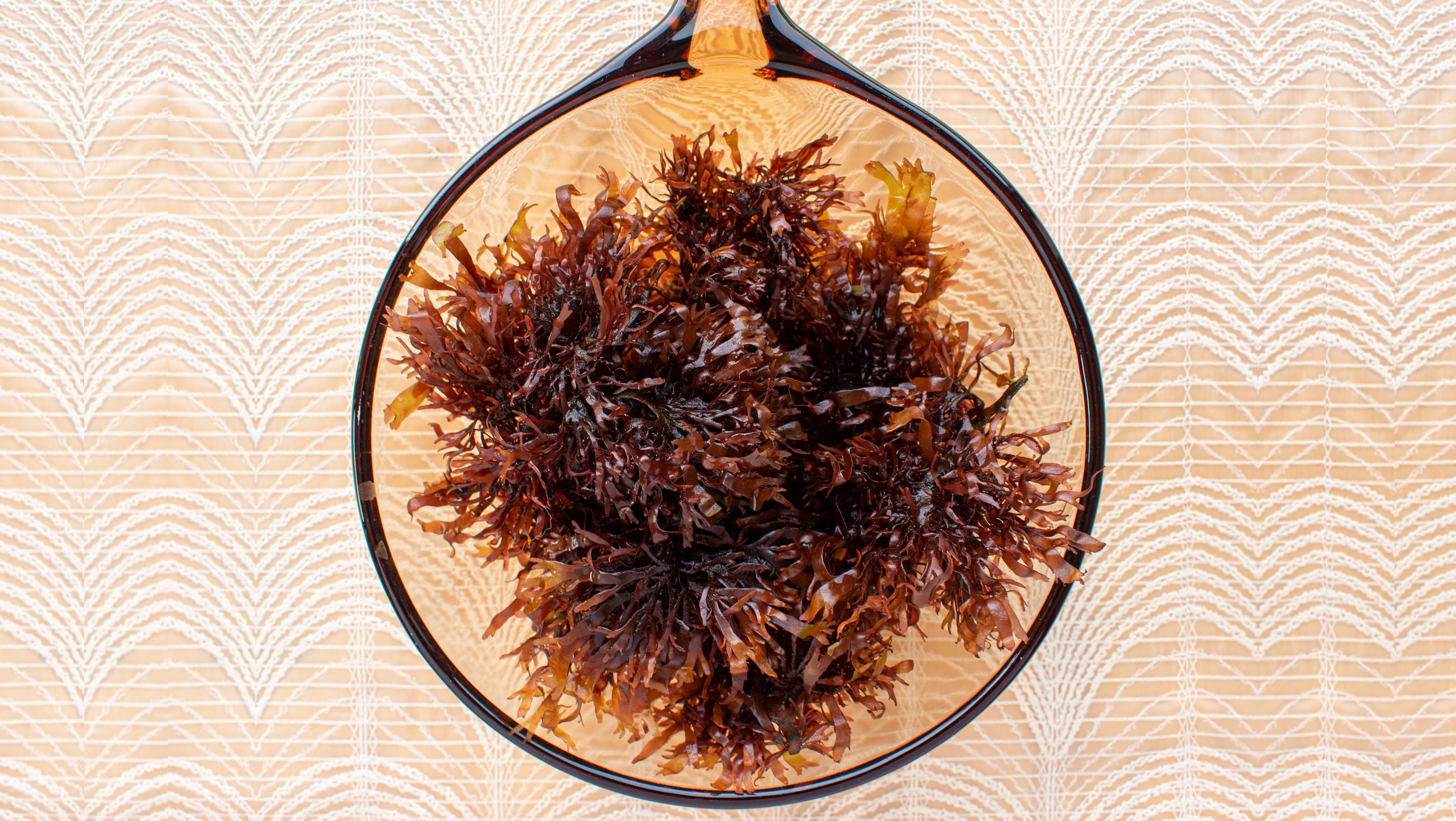 glass bowl filled with brown seaweed