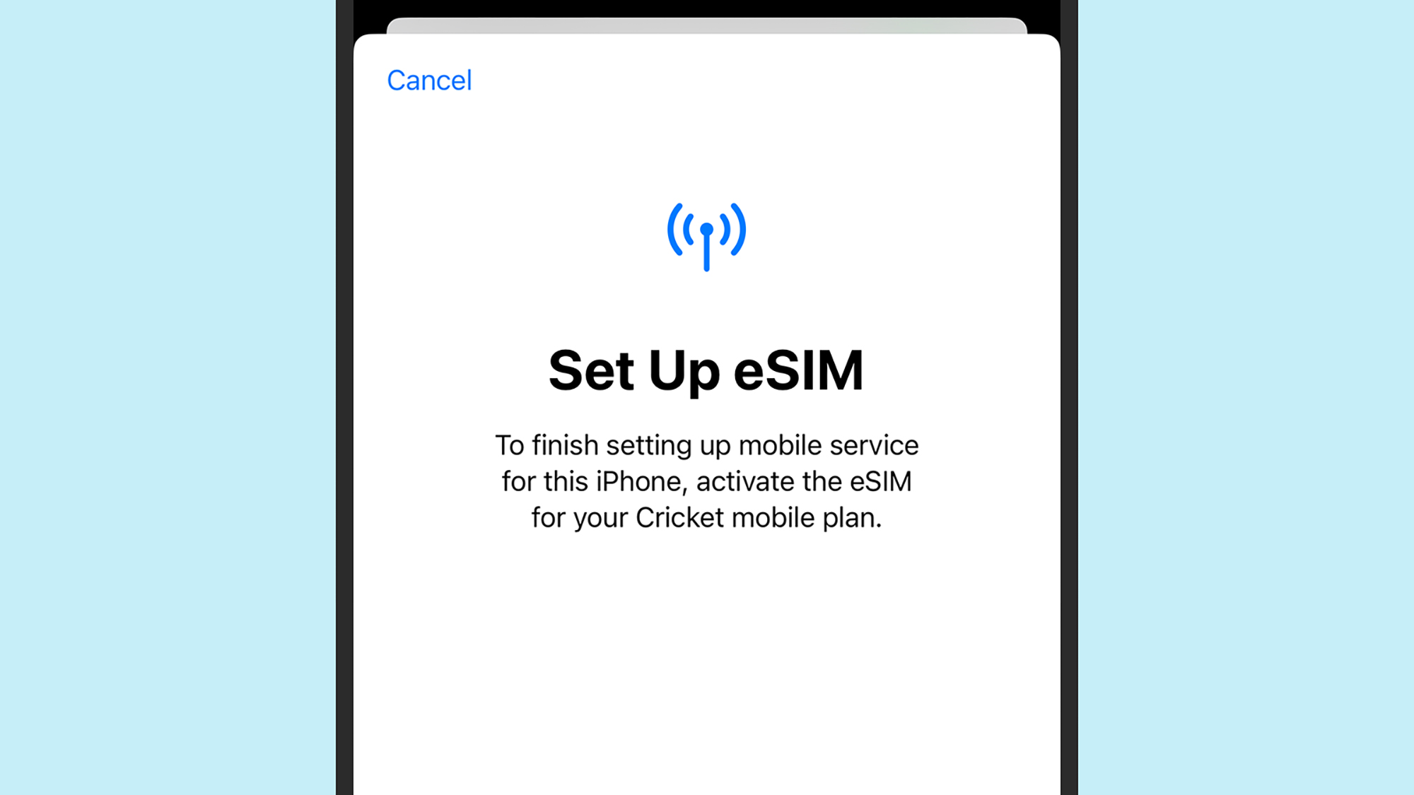 screenshot of iphone with 'esim' set up open