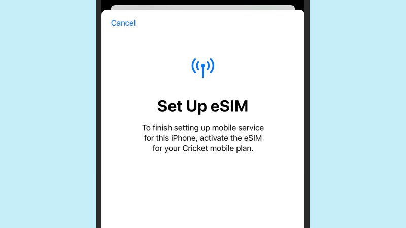 screenshot of iphone with 'esim' set up open