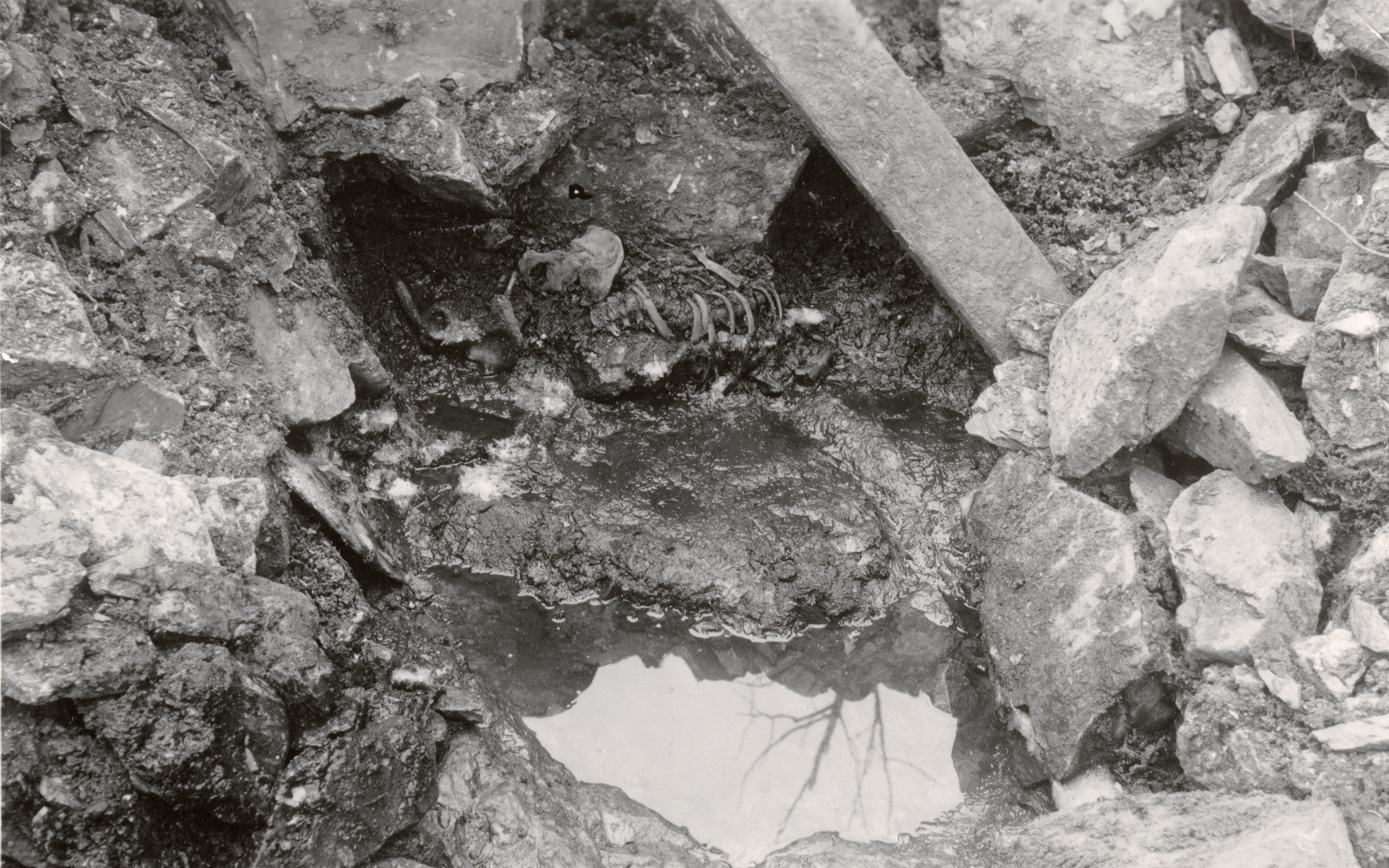 a black and white photo of an excavation in 1938. skeletal remains are seen around several rocks