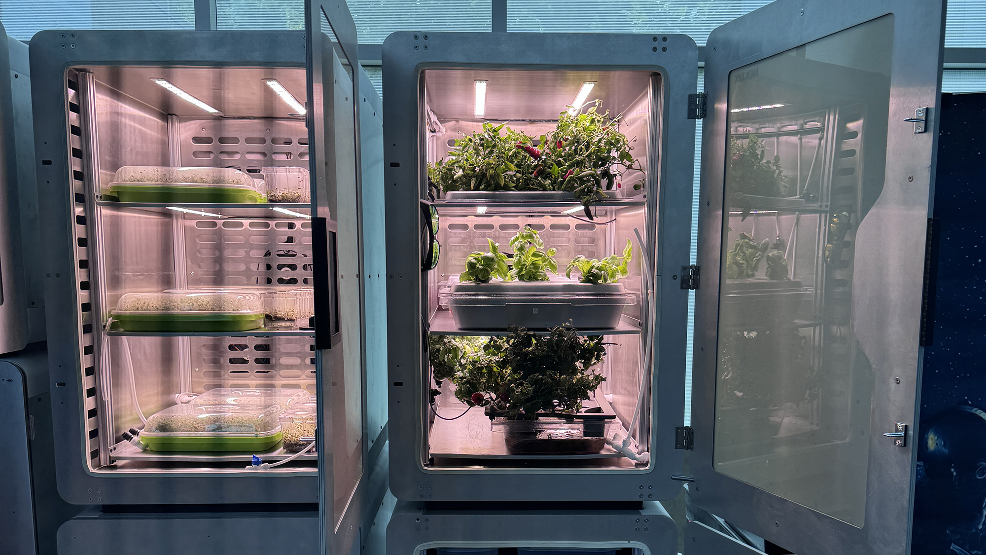 La ‘electroagricultura’ puede ayudar a que las plantas crezcan en la oscuridad