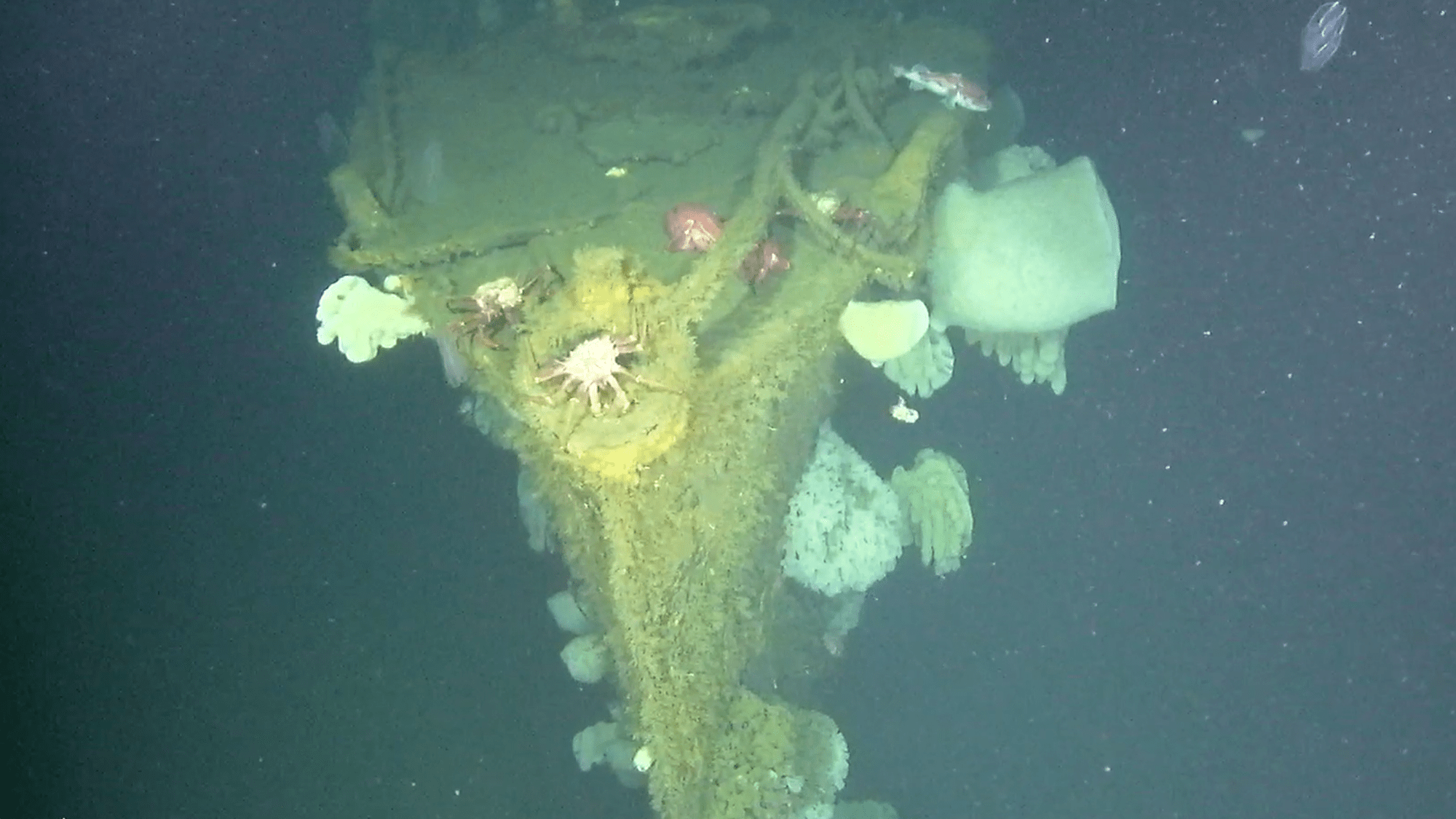 ‘Barco fantasma del Pacífico’ redescubierto con drones submarinos